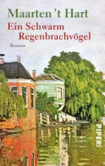 ein_schwarm_regenbrachvoegel