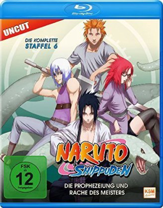 Naruto Shippuden - Die Prophezeiung und Rache des Meisters, Uncut, 1 Blu-ray