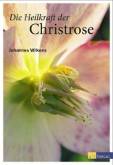 die_heilkraft_der_christrose