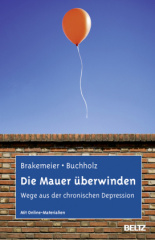 die_mauer_ueberwinden