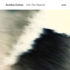 into_the_silence_1_audiocd