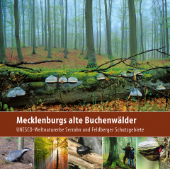 mecklenburgs_alte_buchenwaelder