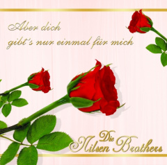 aber_dich_gibts_nur_einmal_fuer_mich